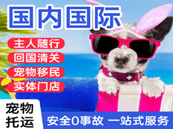 甘孜康定空运国际宠物托运 【国